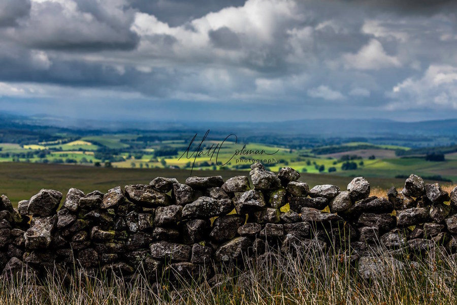 Yorkshire Dales 8