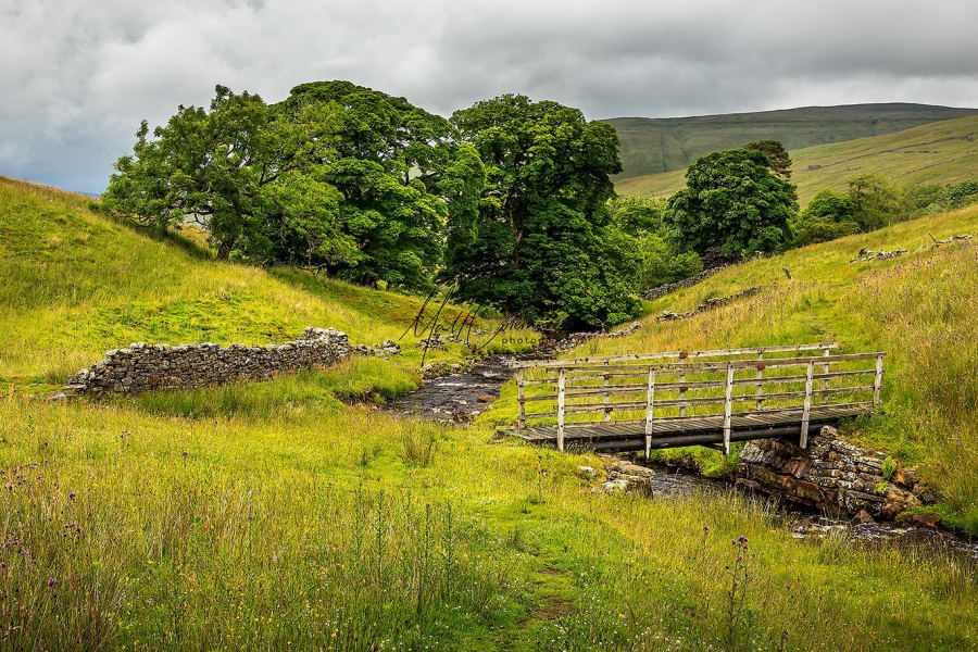 Yorkshire Dales 19