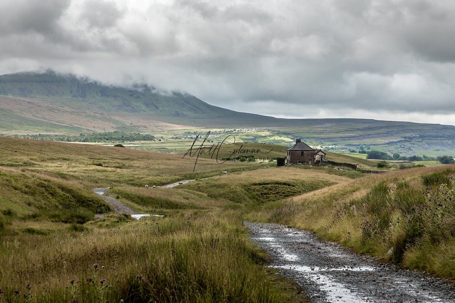 Yorkshire Dales 20